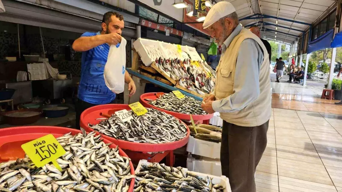 Balıkesir\'de Balık Sezonu Başladı: Palamut Fiyatları Düştü