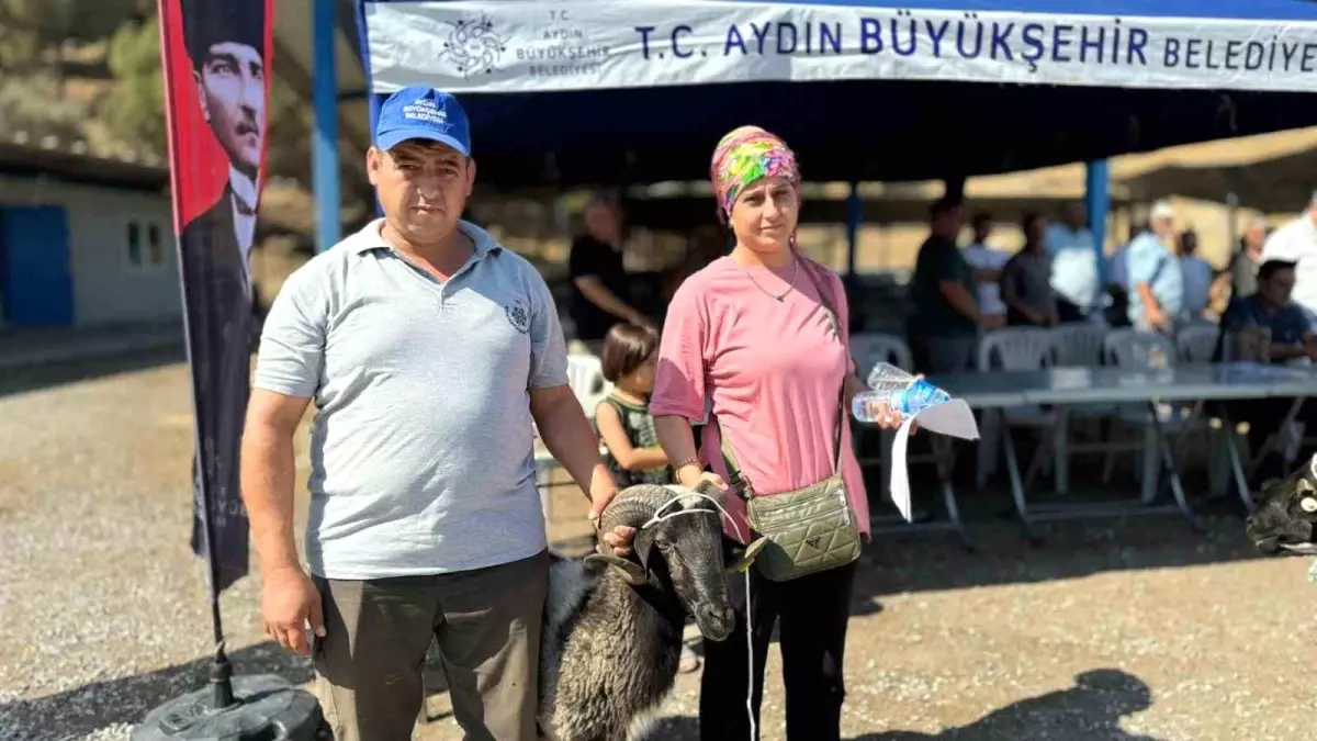 Aydın Büyükşehir Belediyesi Küçük Üreticilere Hayvan Dağıtımı Yaptı