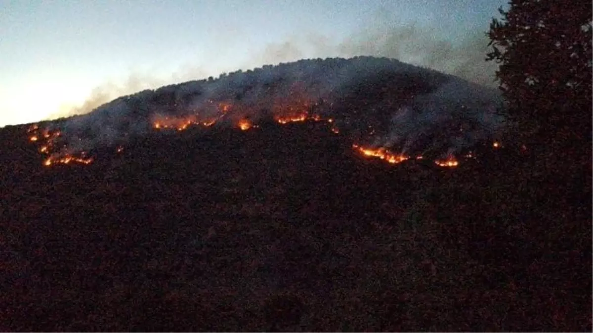 Bitlis ve Mutki\'deki Orman Yangınları Kontrol Altına Alındı