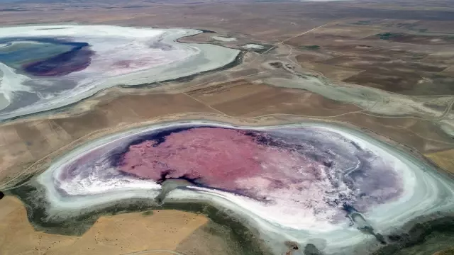 Konya'da 'flamingo cenneti' kurudu