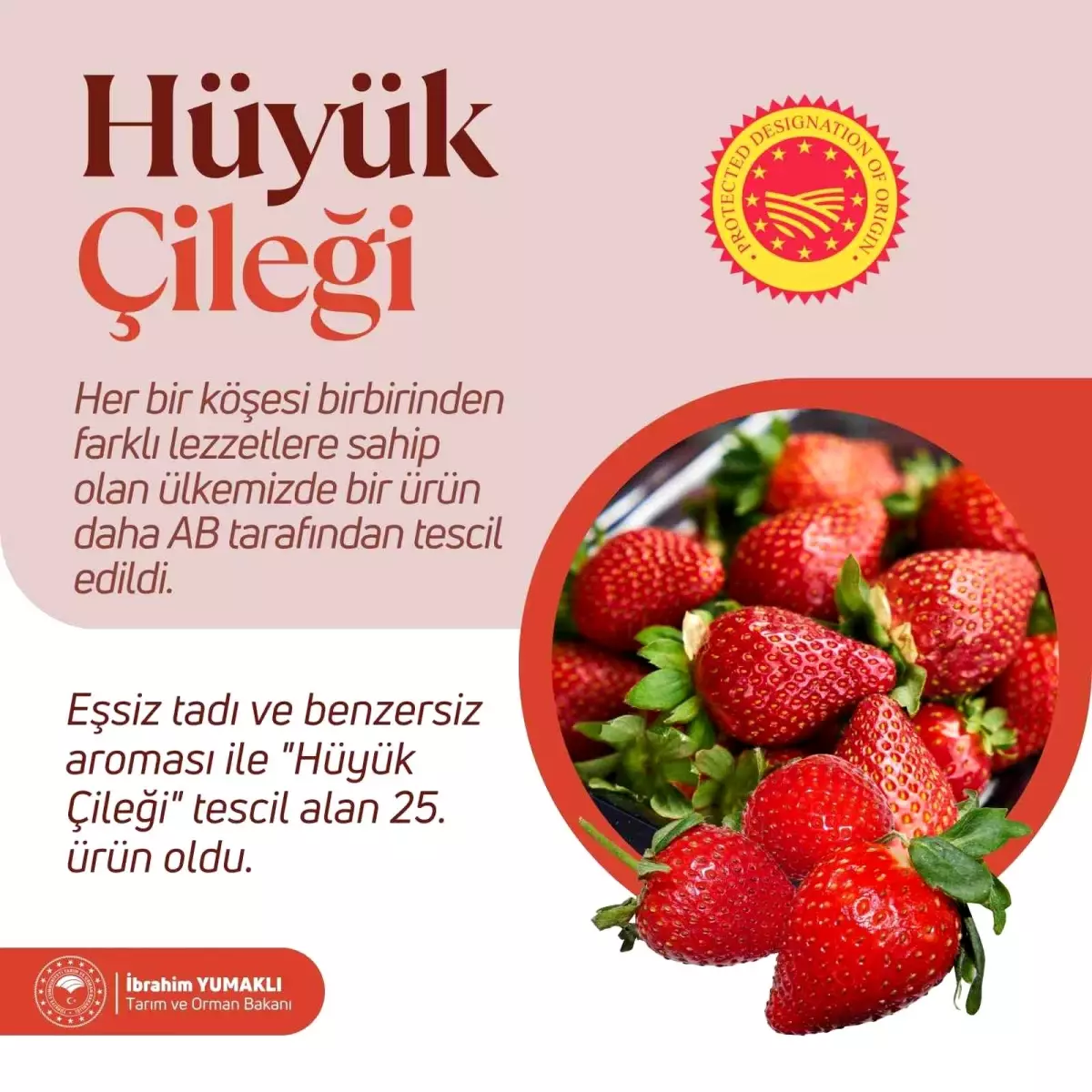 Hüyük Çileği, Türkiye\'nin 25. AB Tescilli Ürünü Oldu