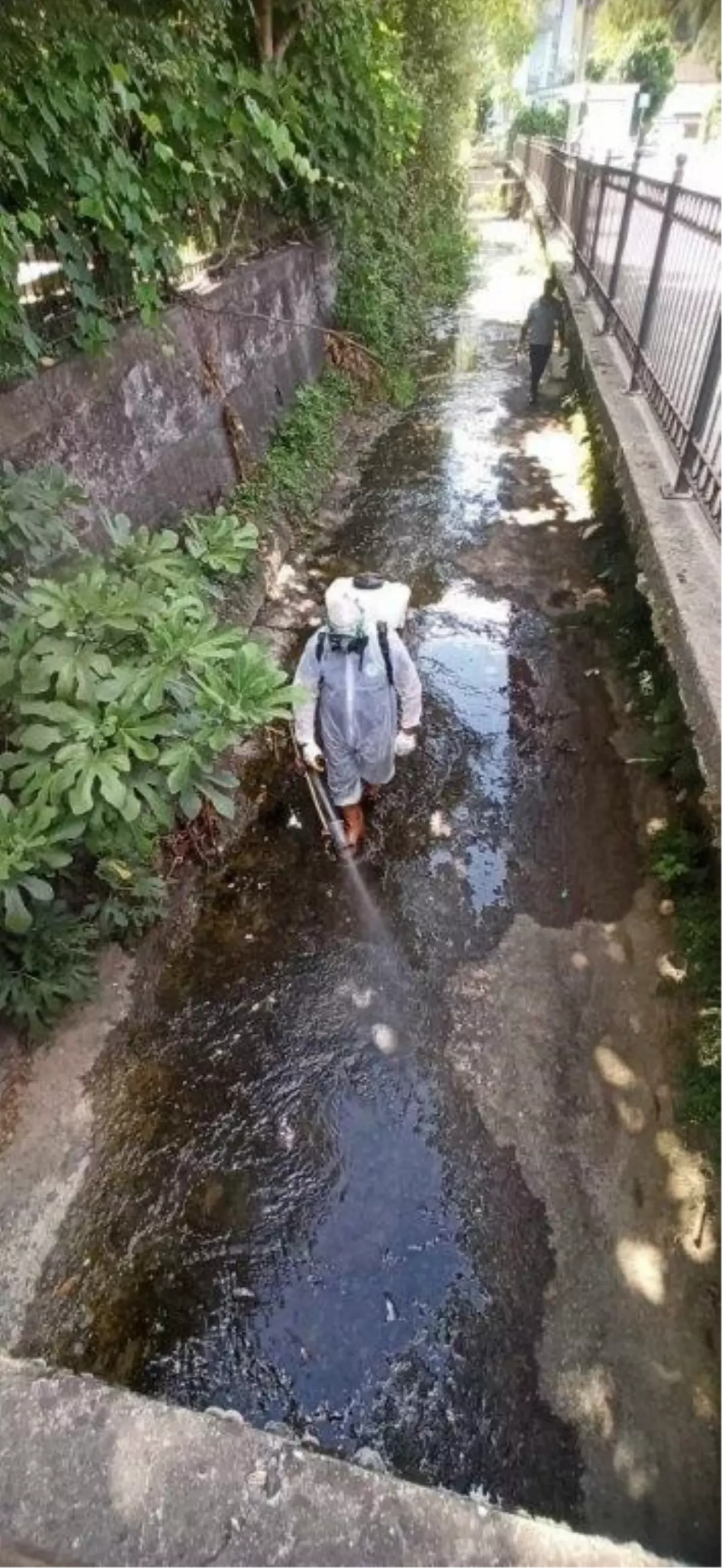 Karadeniz Ereğli Belediyesi Sivrisinek ve Haşere İlaçlama Çalışmalarını Sürdürüyor