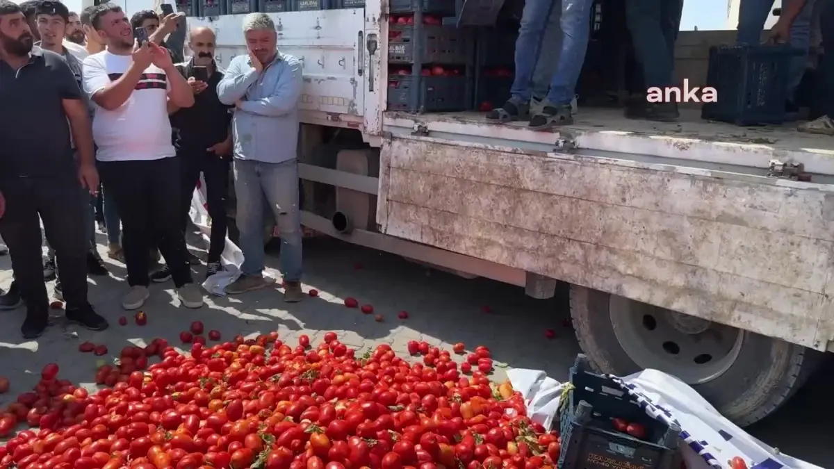 Çiftçiler Girdi Maliyetlerine Tepki Gösterdi