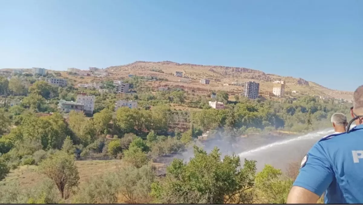 Mardin\'de Ormanda Çıkan Yangın 50 Dönüm Alanı Zarar Gördü