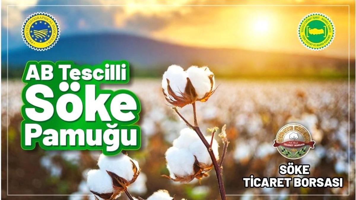 Söke Pamuğu, AB\'de Tescil Edilen İlk Pamuk Ürünü Oldu