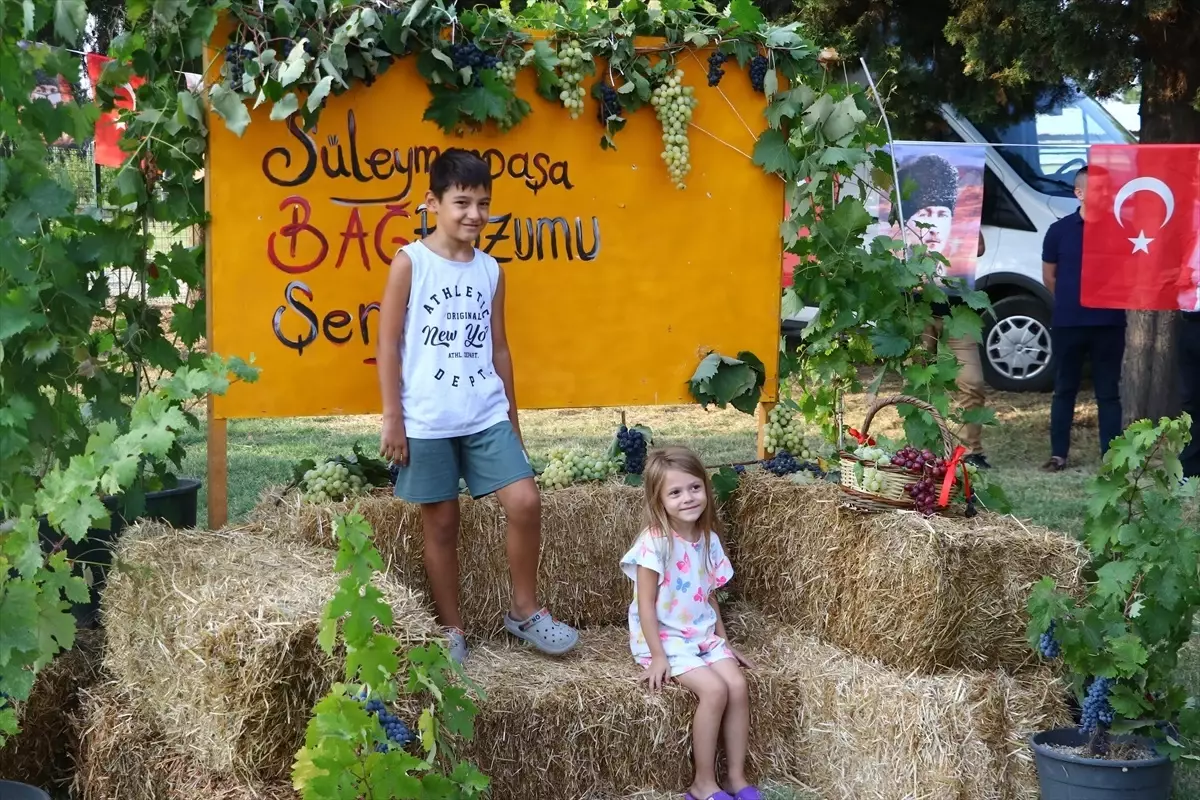 Tekirdağ\'da 12. Bağ Bozumu Şenliği Coşkuyla Gerçekleştirildi