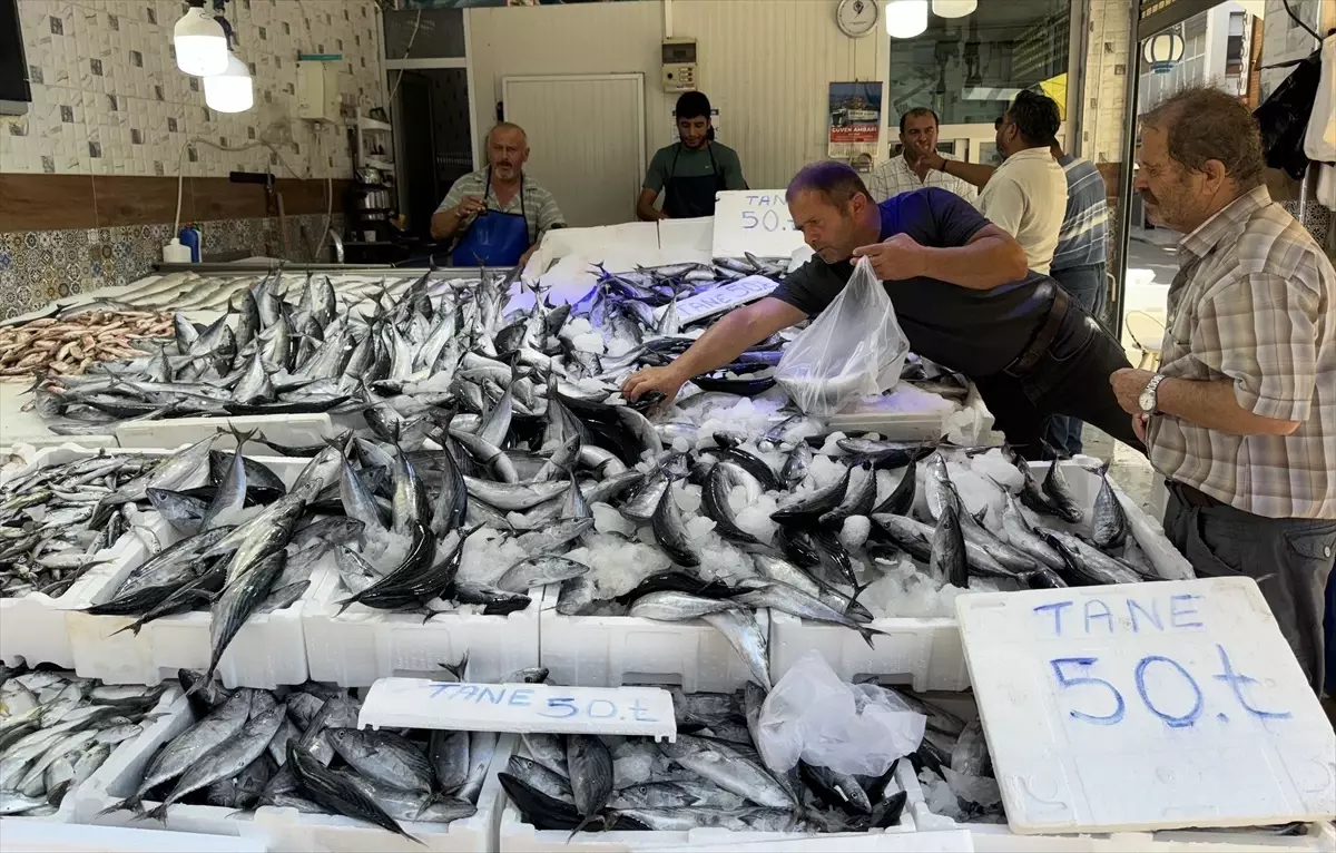 Palamut Avında Beklenmedik Bolluk: Balıkçılar ve Tüketiciler Mutlu