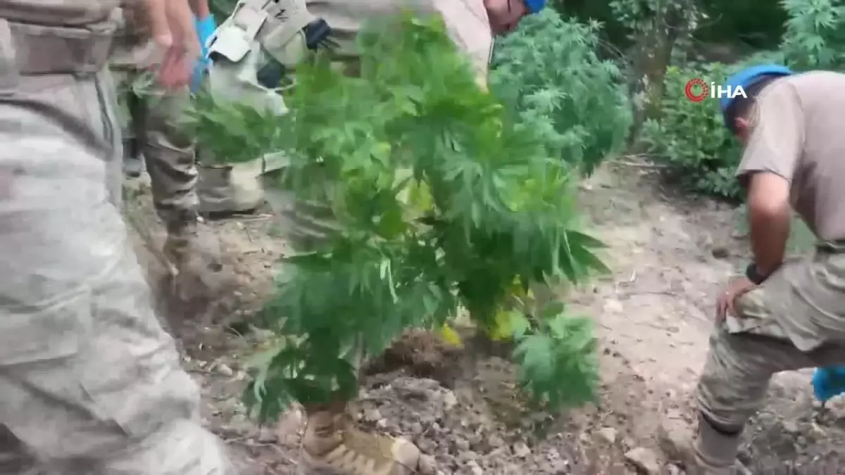 Sakarya\'da Uyuşturucu ve Kaçakçılık Operasyonu: 11 Kişi Tutuklandı