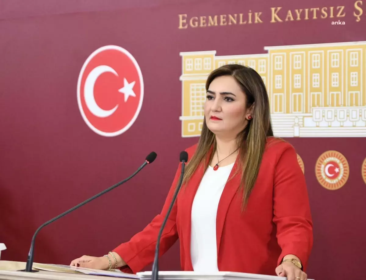 CHP Milletvekili Sevda Erdan Kılıç, Zabıta Haftası\'nda meslek kanunu talep etti