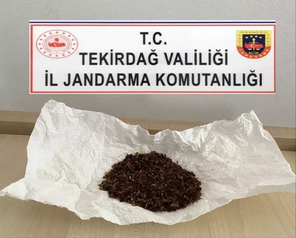 Tekirdağ\'da Jandarma Uyuşturucu ve Silah Operasyonu Düzenledi