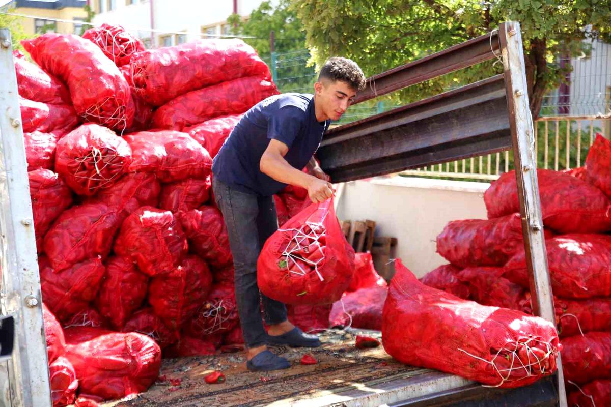 Gaziantep\'te Biber Salçası Üretimi Yoğunlaşıyor