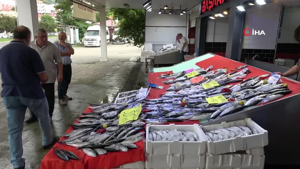 Karadeniz\'de Palamut Bereketi, Fiyatlar 100 Liraya Düştü