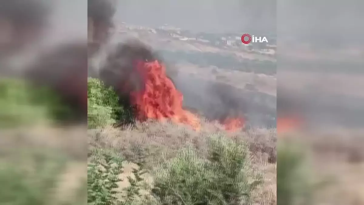 Mersin\'de makilik alanda çıkan yangın söndürüldü