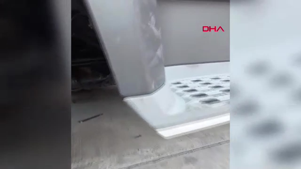 Mersin\'de Tankerden Kurtarılan Kedi Tedavi Altına Alındı