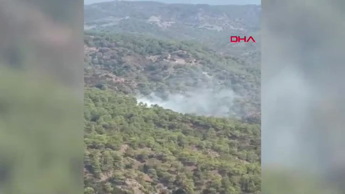 Muğla\'da Son 5 Günde 50 Yıldırım Yangını