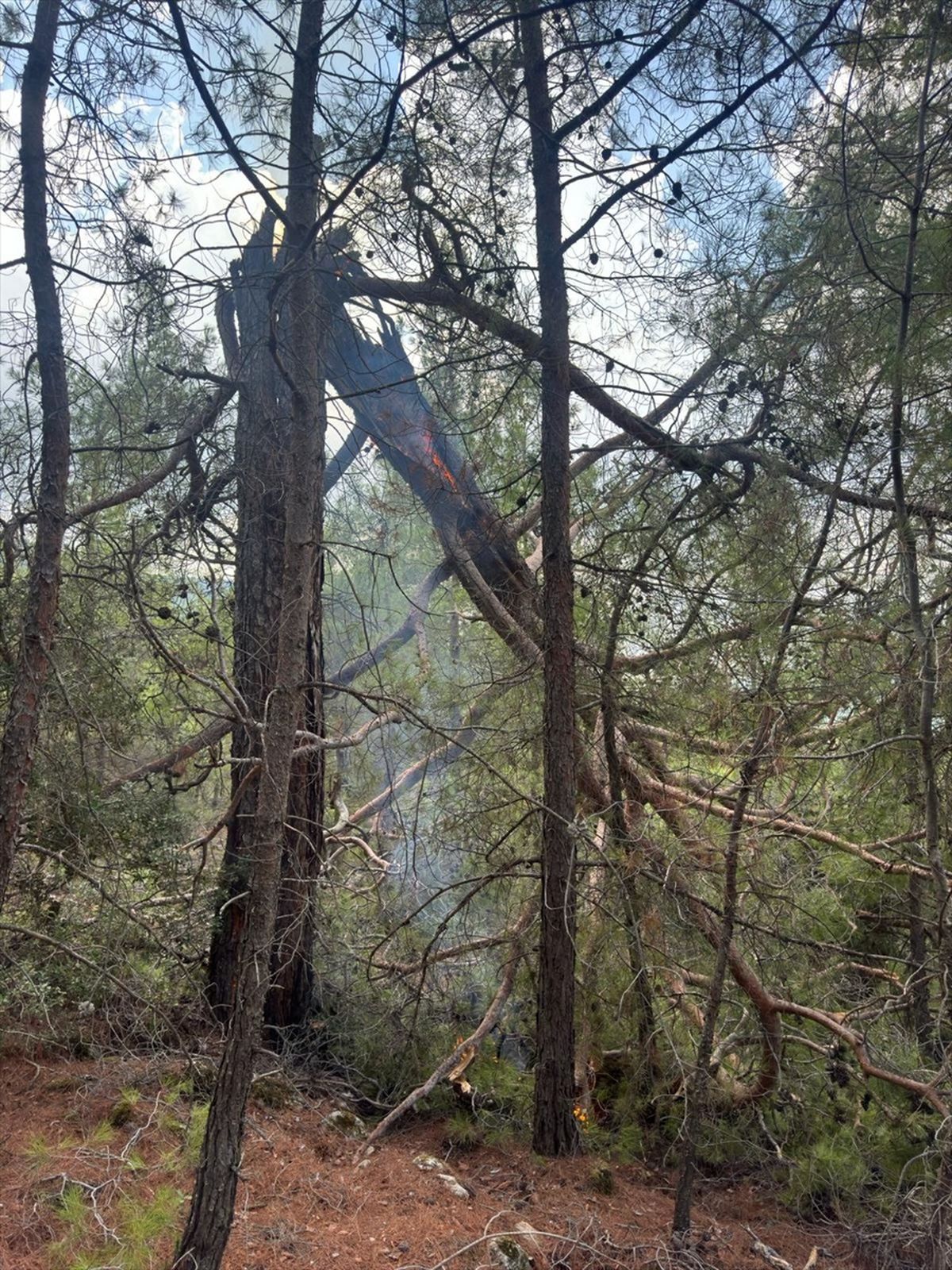 Muğla\'da Yıldırım Yangınları Kontrol Altında
