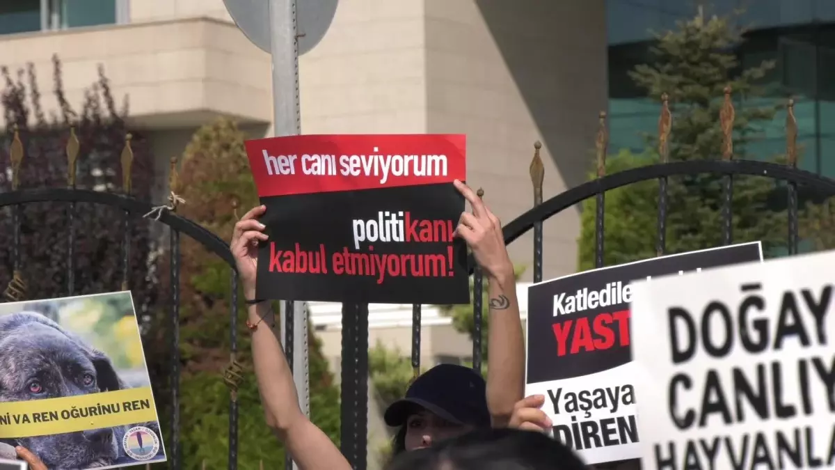 Yaşam Hakkı Savunucuları Anayasa Mahkemesi Önünde Hayvanları Koruma Yasası İçin Nöbette