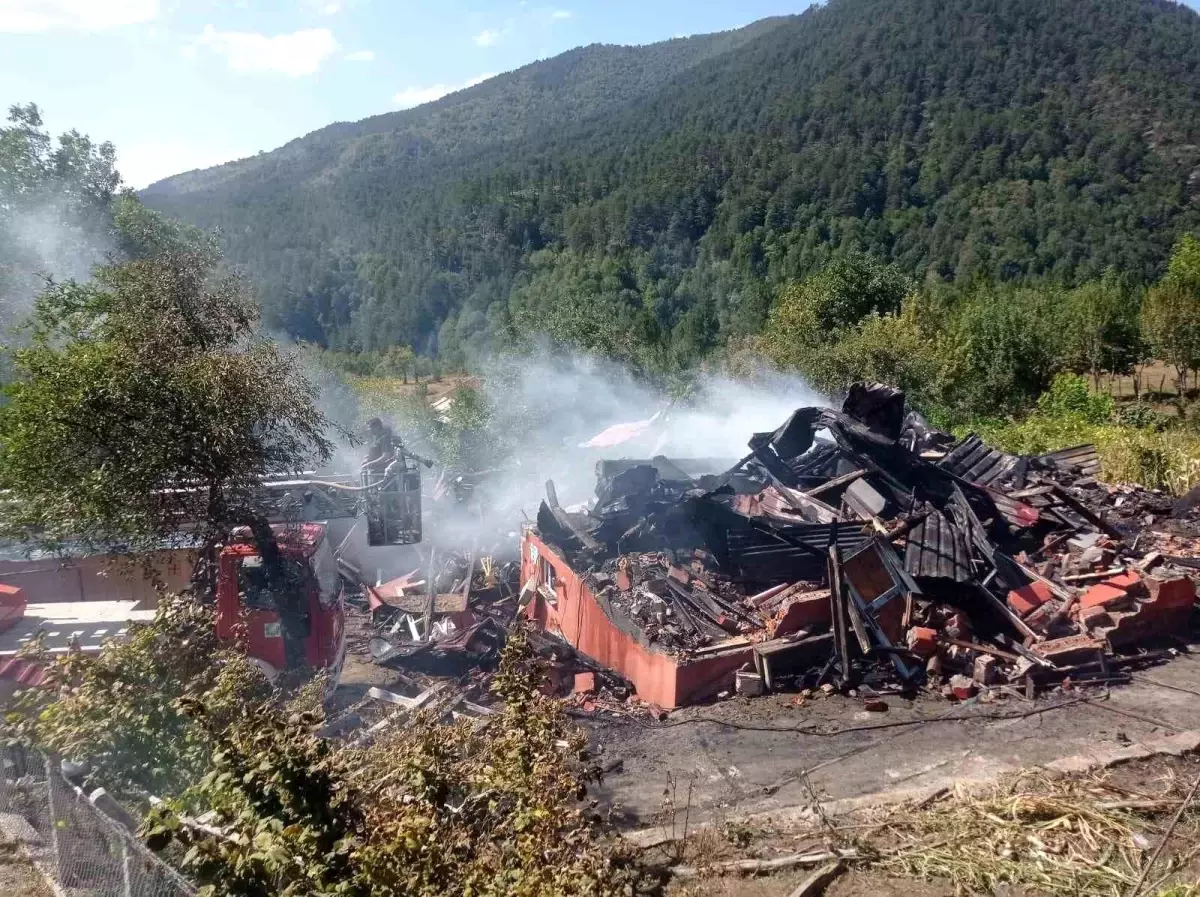 Bolu\'da Ahşap Ev Yangında Kullanılamaz Hale Geldi