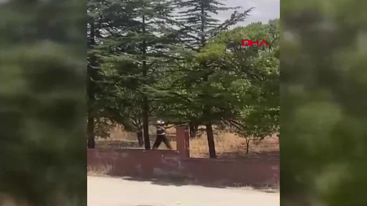 Ankara\'da Köpeğe Tüfekle Ateş Eden Gözaltına Alındı