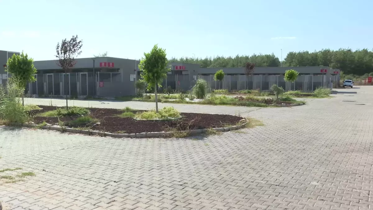 Antalya Büyükşehir Belediyesi Geçici Bakımevi ve Rehabilitasyon Merkezi\'nde Ziyaretçi Artışı