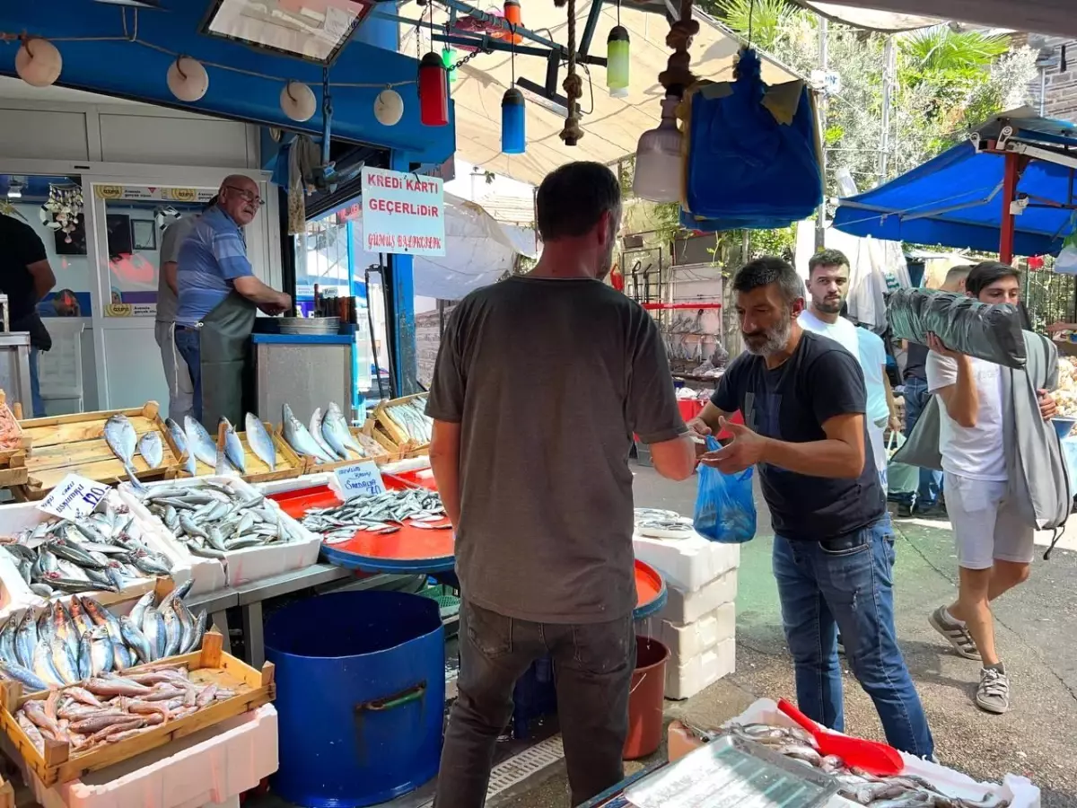 Balık Sezonu Başladı, Palamut Bol!