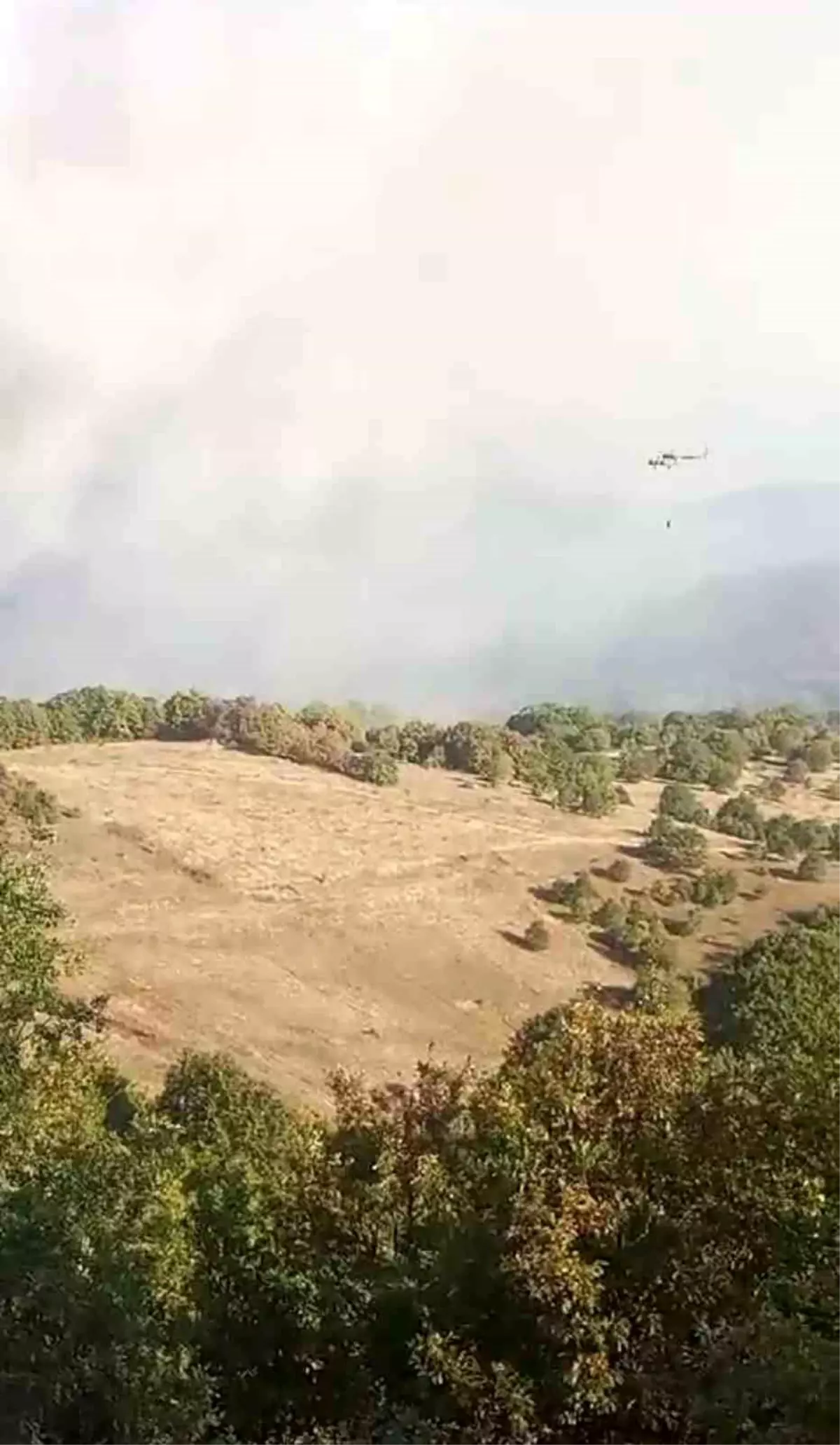 Bursa\'da Ormanlık Alanda Yangın Çıktı