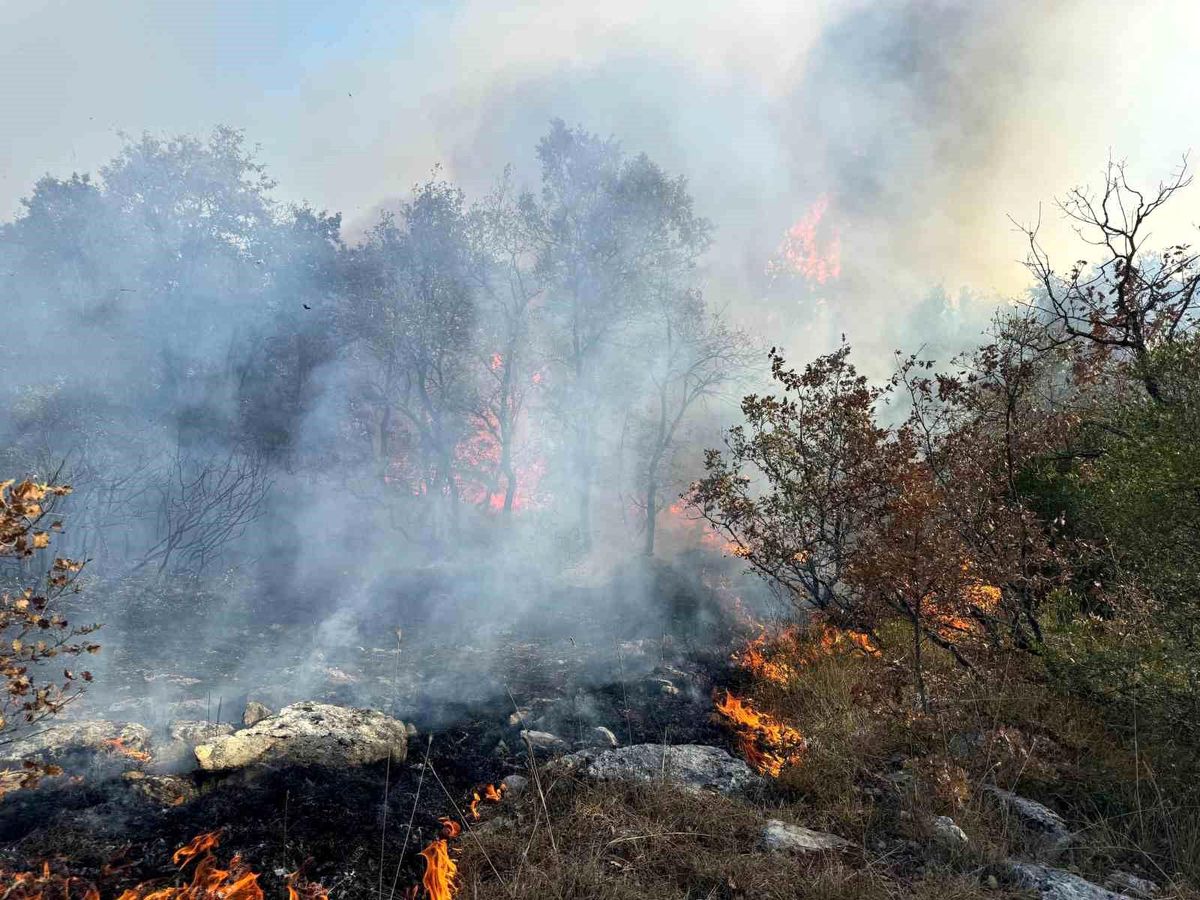 Bursa-Sakarya Sınırında Orman Yangını