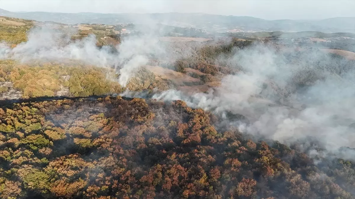 Karamürsel\'de Orman Yangını Kontrol Altına Alındı