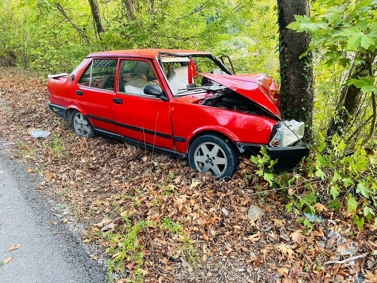 Karabük\'te ağaca çarpan otomobilde 2 kişi yaralandı