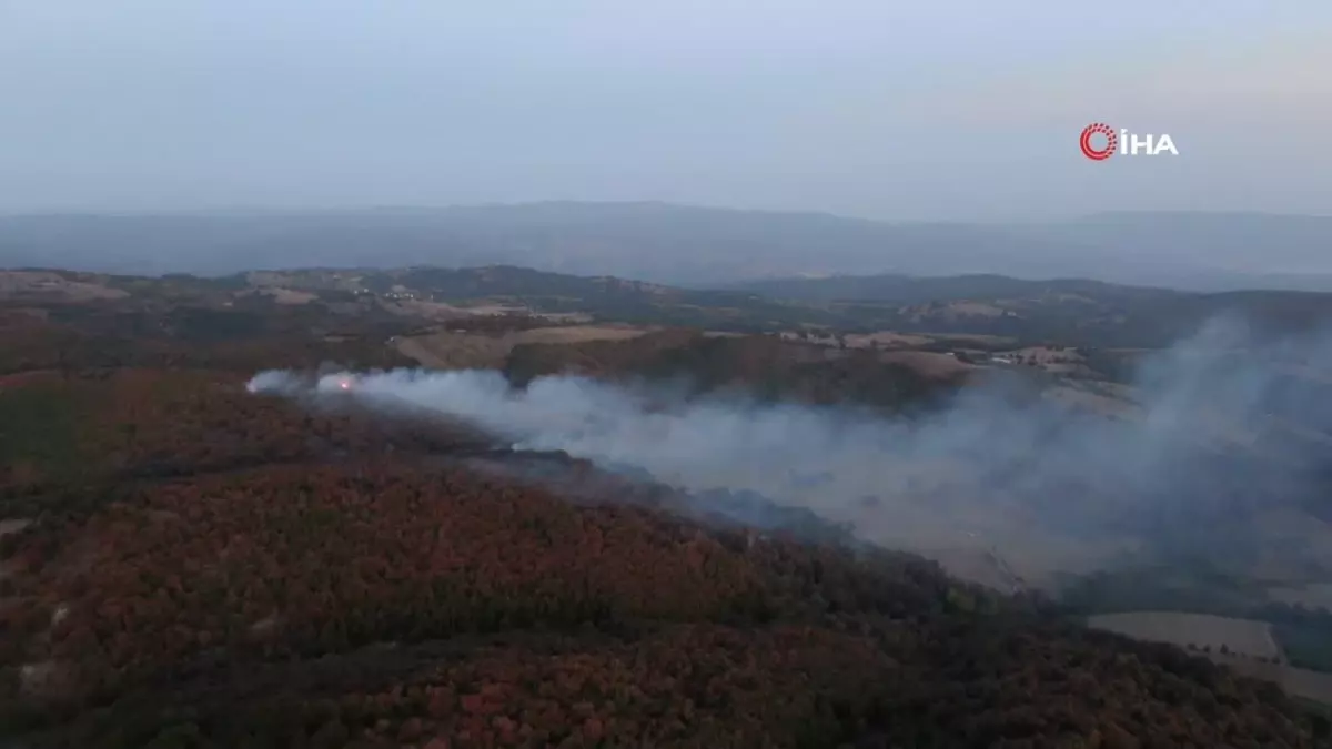 Kocaeli\'de Orman Yangını Kontrol Altında