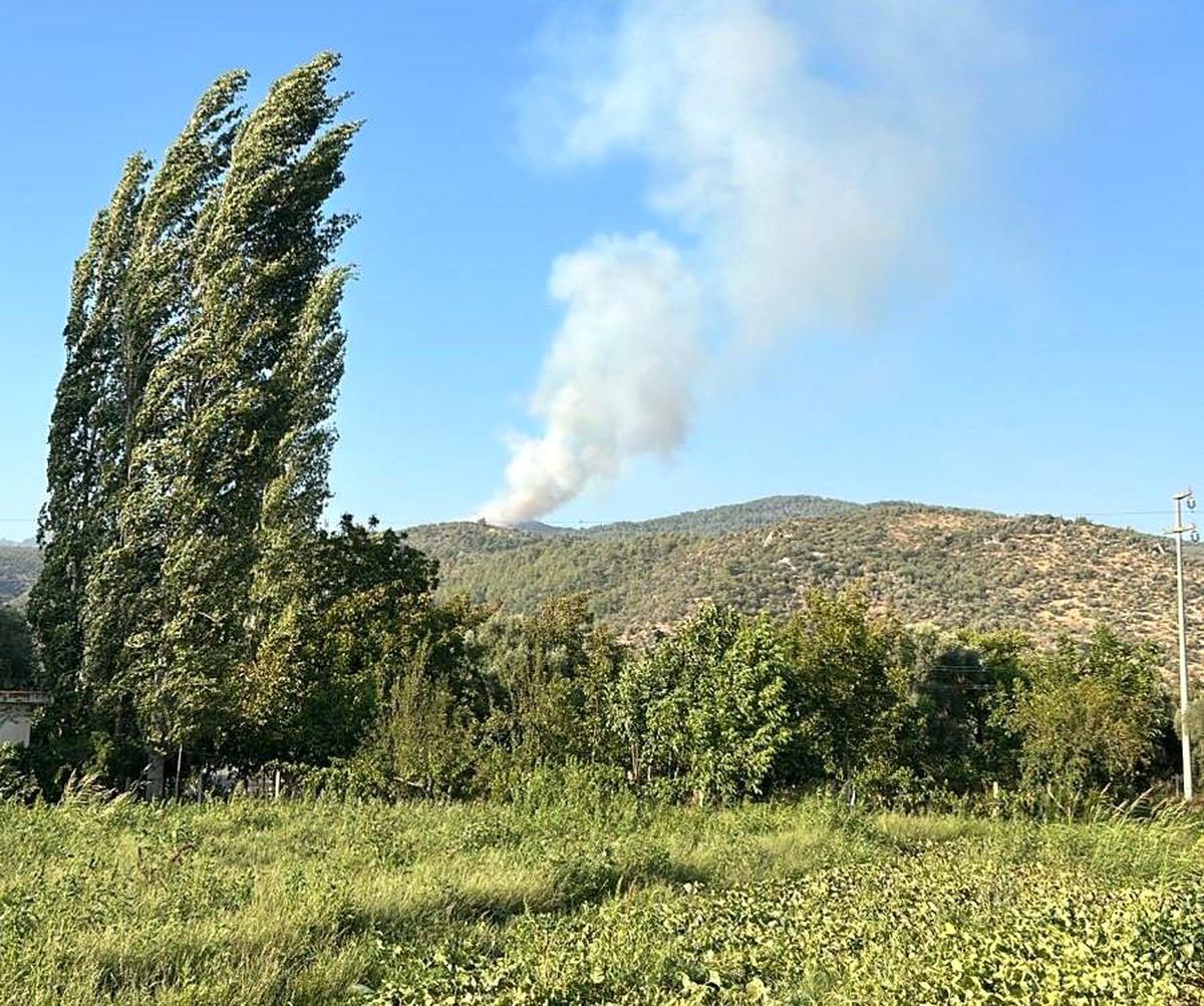 Muğla\'da Ormanlık Alanda Yangın Çıktı