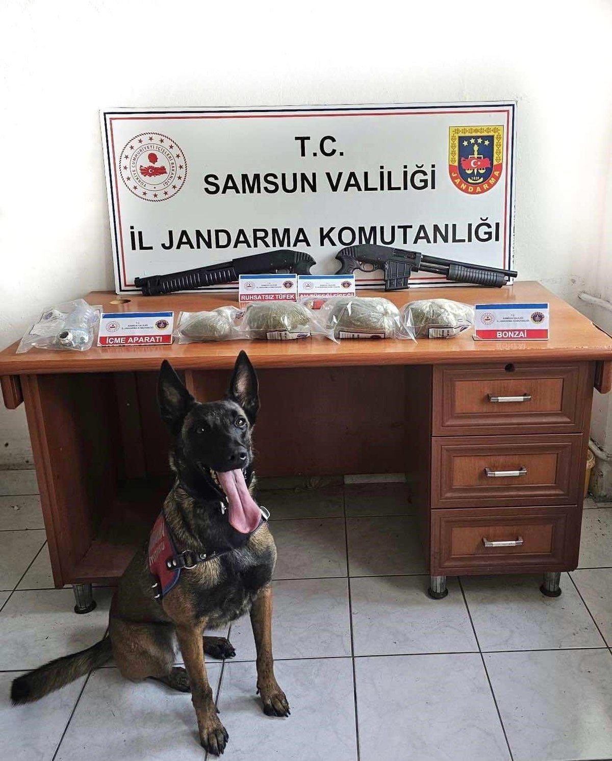 Samsun\'da 3 Kilo Bonzai Ele Geçirildi