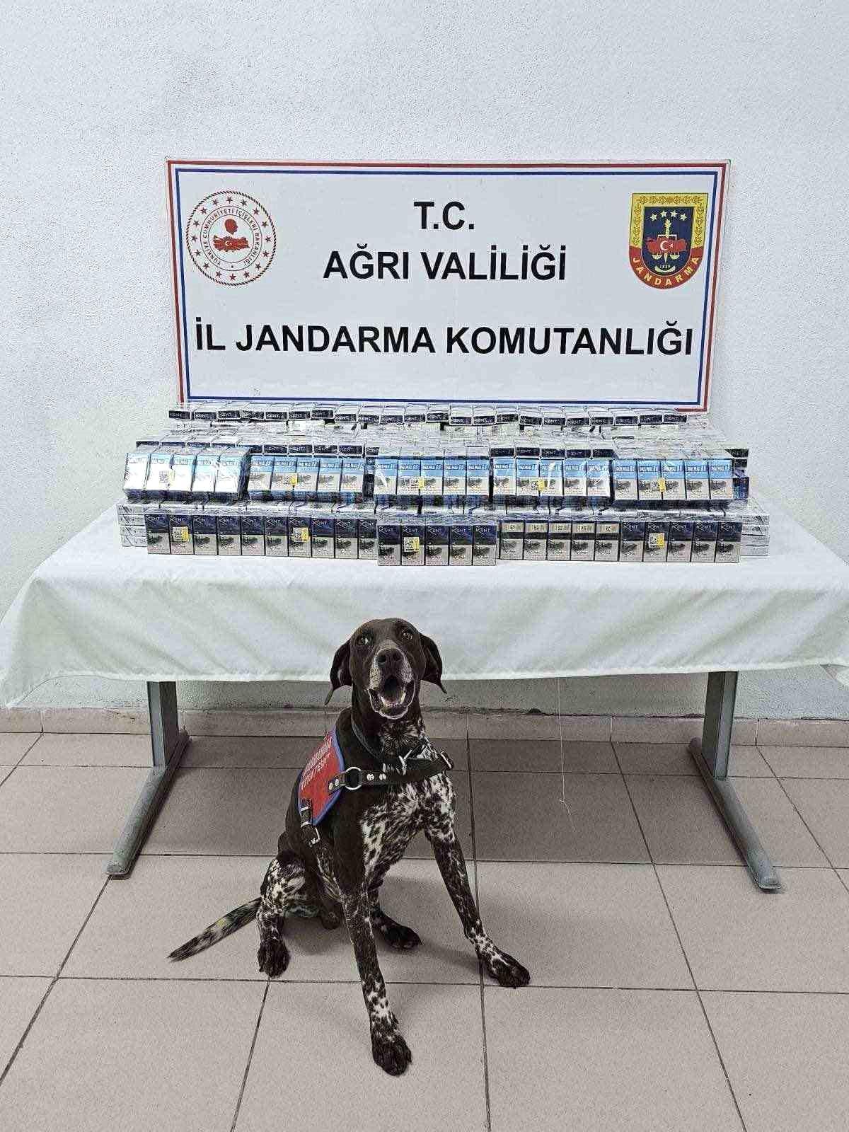 Ağrı\'da Kaçak Sigara Operasyonu