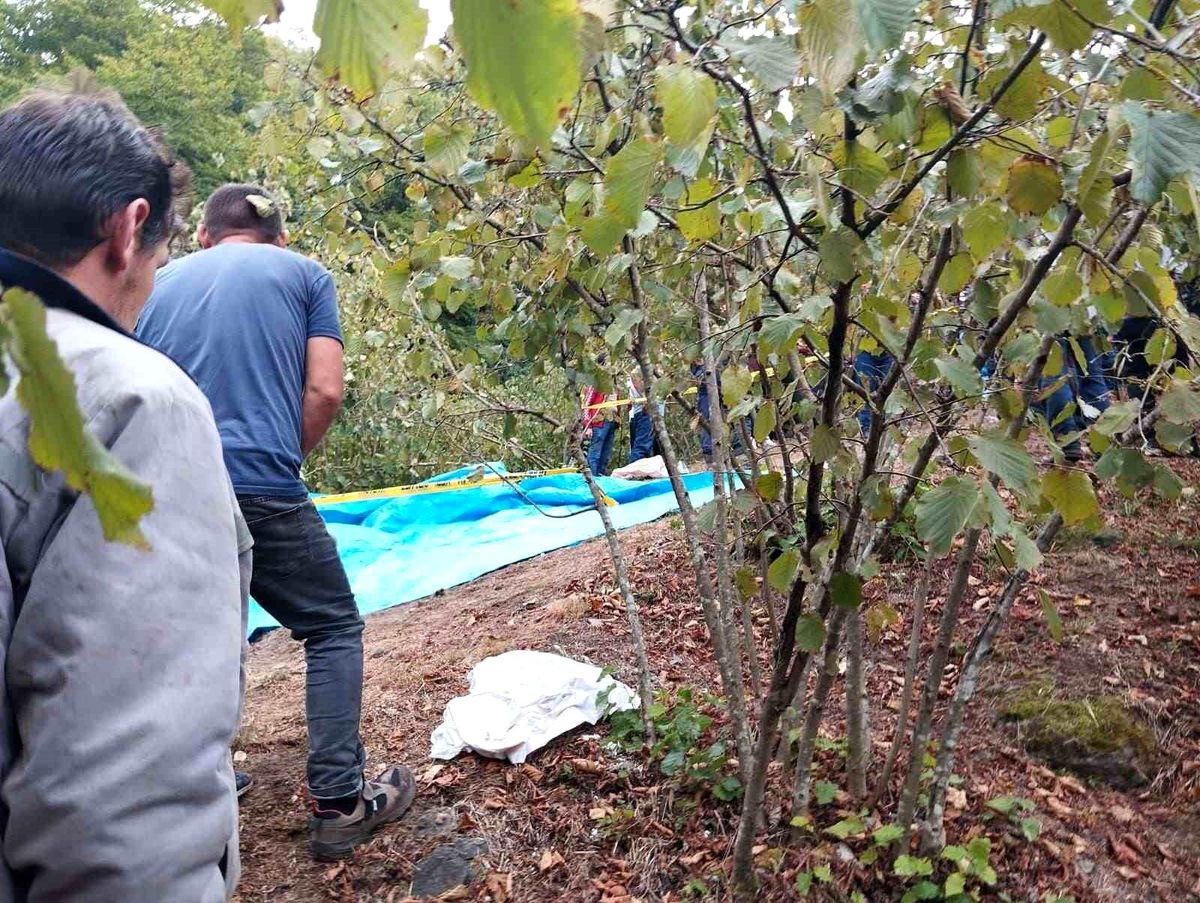 Hendek\'te Traktör Kazası: 1 Ölü
