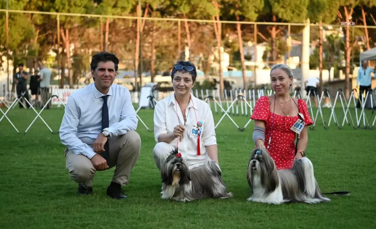 Kuşadası\'da Köpek Yarışması Başladı