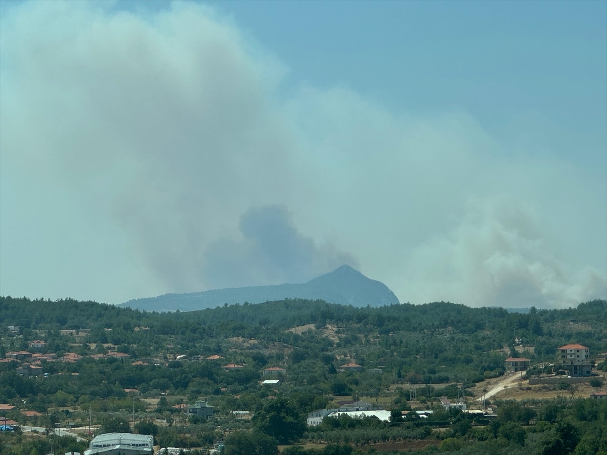 Muğla\'da Orman Yangınına Müdahale