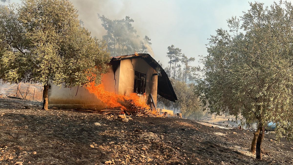 Arı Kovanları Yangında Zarar Gördü