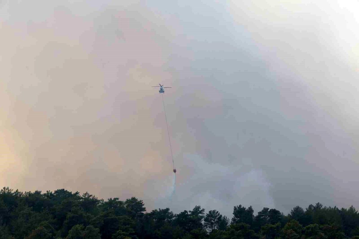 Muğla\'da Orman Yangını: Havadan 9 helikopter ve 6 uçak müdahale ediyor