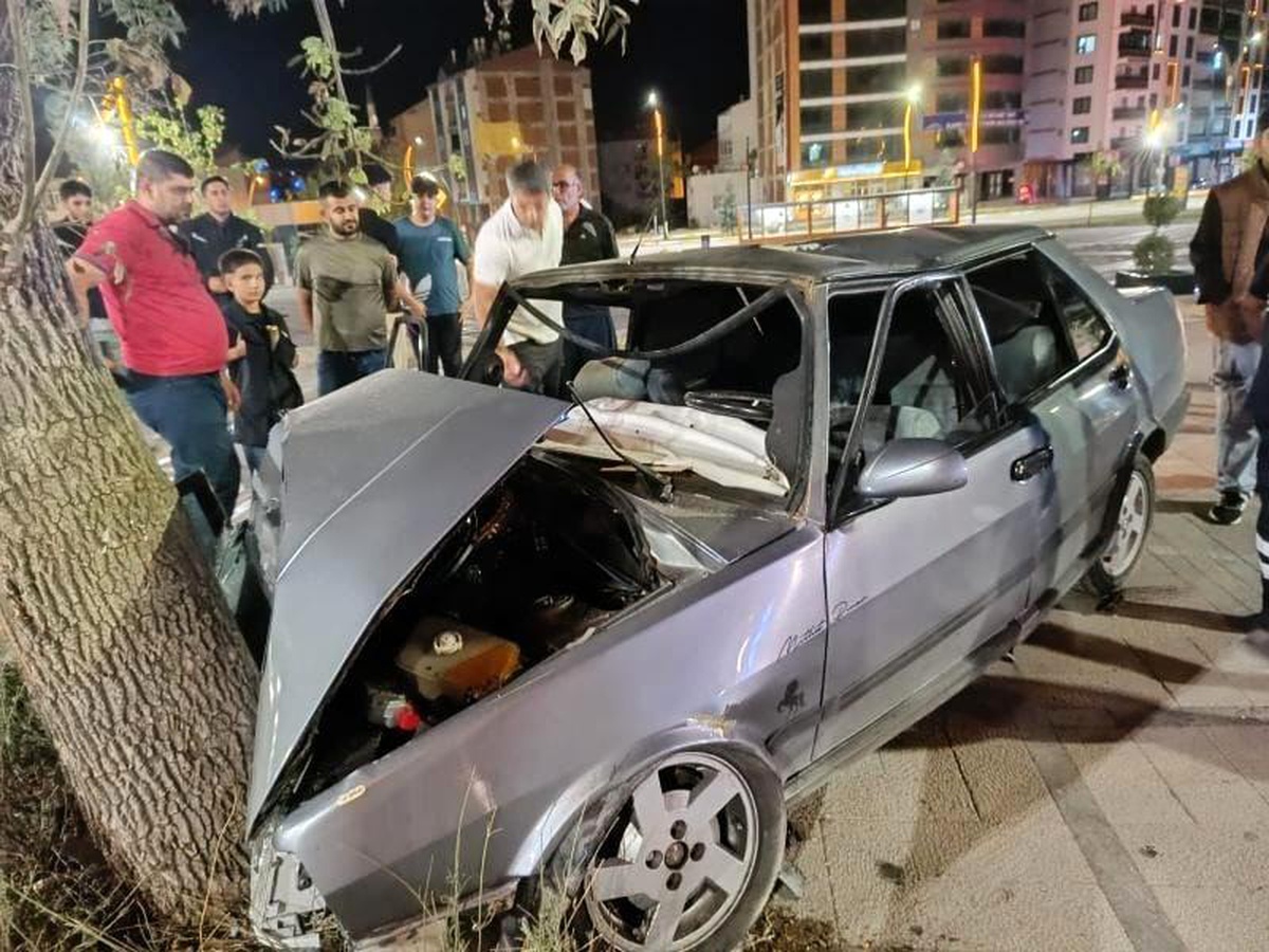 Elazığ\'da otomobilin ağaca çarpması sonucu 4 kişi yaralandı