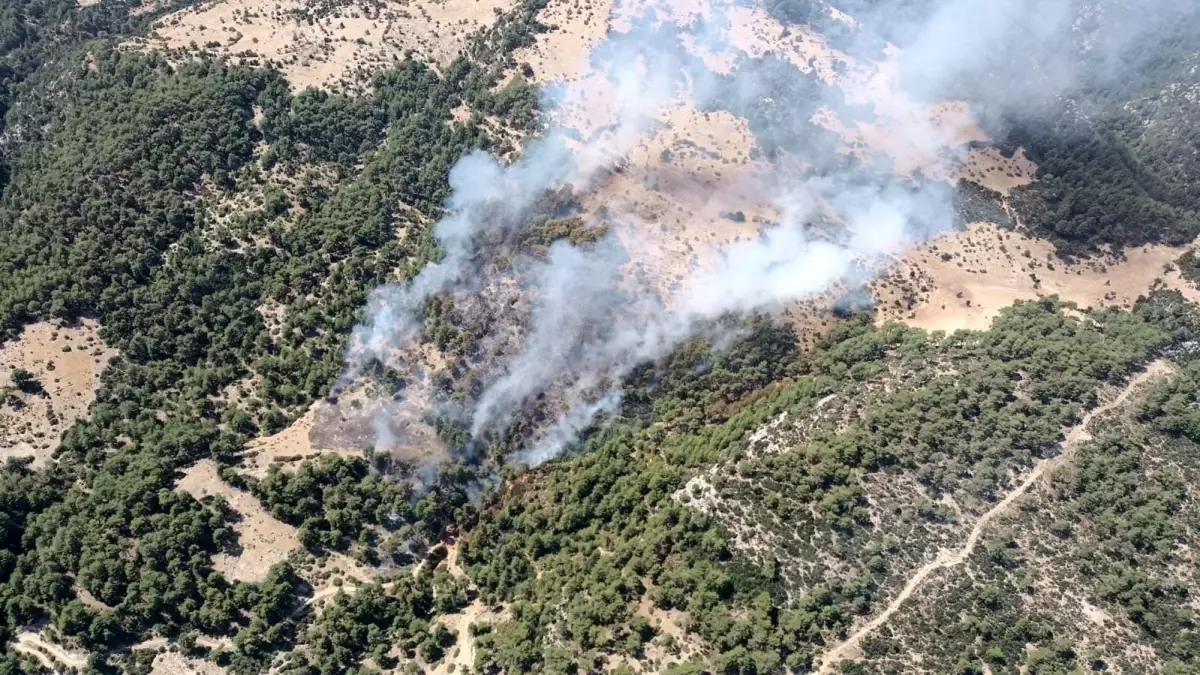 Kaş\'ta Orman Yangınına Müdahale