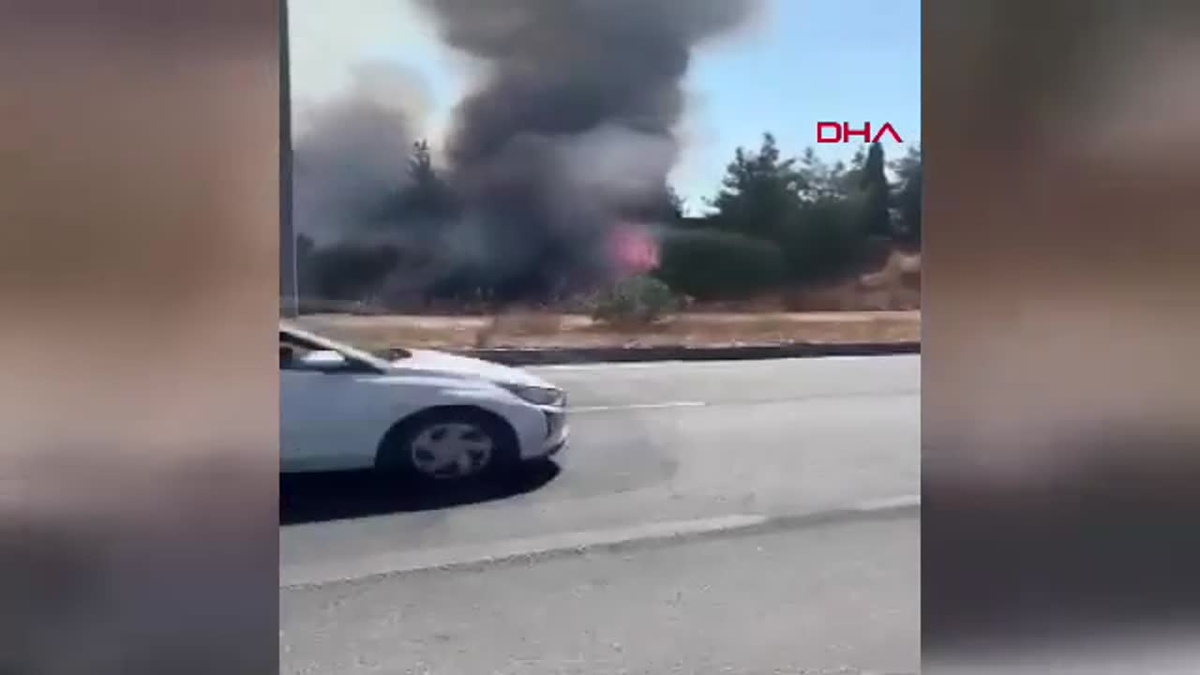 Milas\'ta Yangın Kontrol Altında