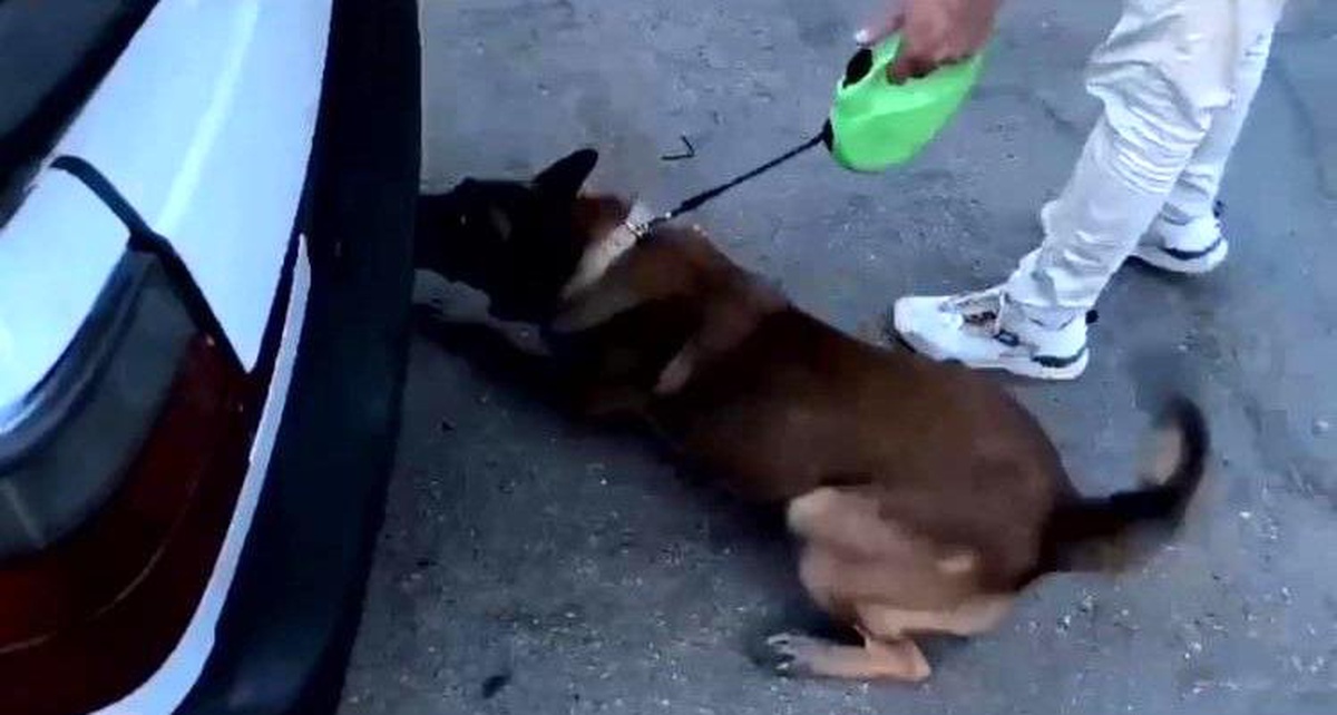 Edremit\'te Uyuşturucu Operasyonu
