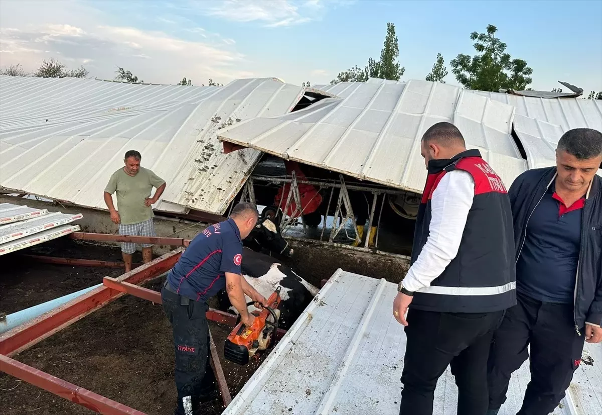 Osmaniye\'de Fırtına: Ağaçlar Devildi, Çatı Çöktü