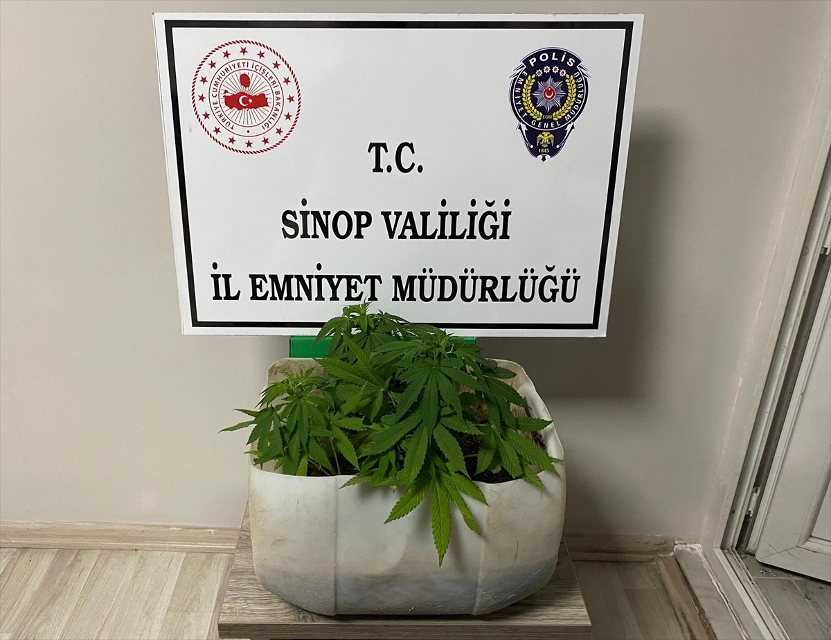 Sinop\'ta Uyuşturucu Operasyonu: İki Tutuklama
