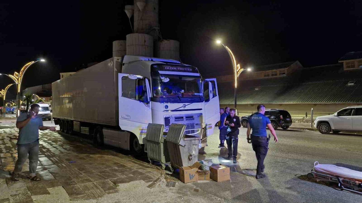 Tır sürücüsü aracında ölü bulundu
