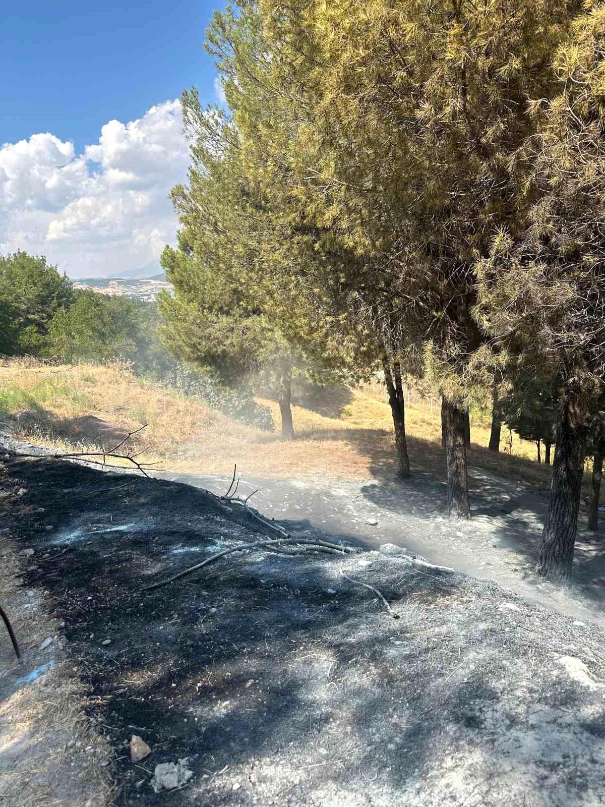 Adıyaman\'da Yangın Kontrol Altında