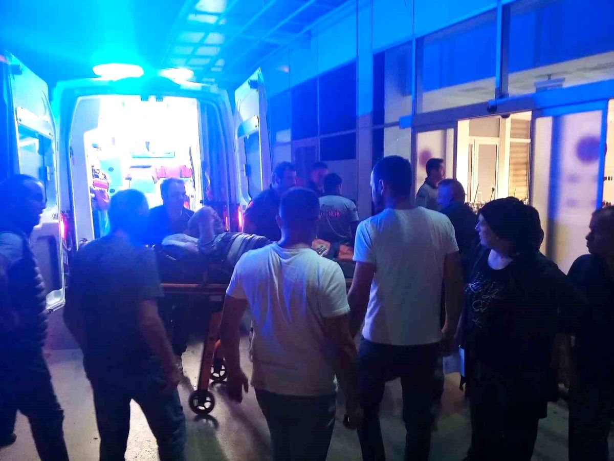 Domuz Nöbeti Faciası: Tüfek Kazara Ateş Aldı