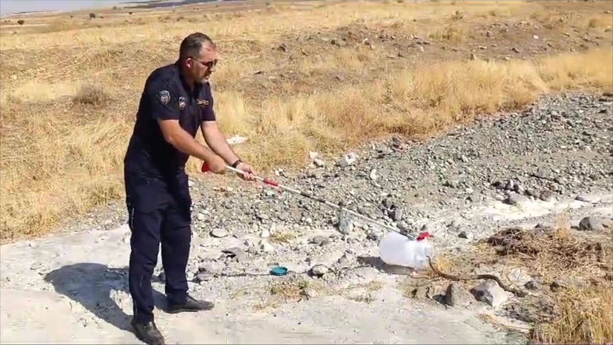Elazığ\'da Yılan İtfaiye Ekiplerince Yakalandı