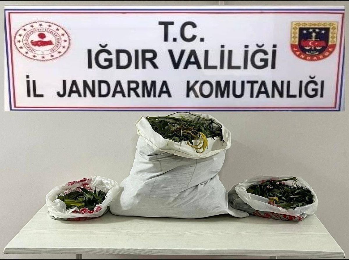 Iğdır\'da 32.8 kg Esrar Ele Geçirildi