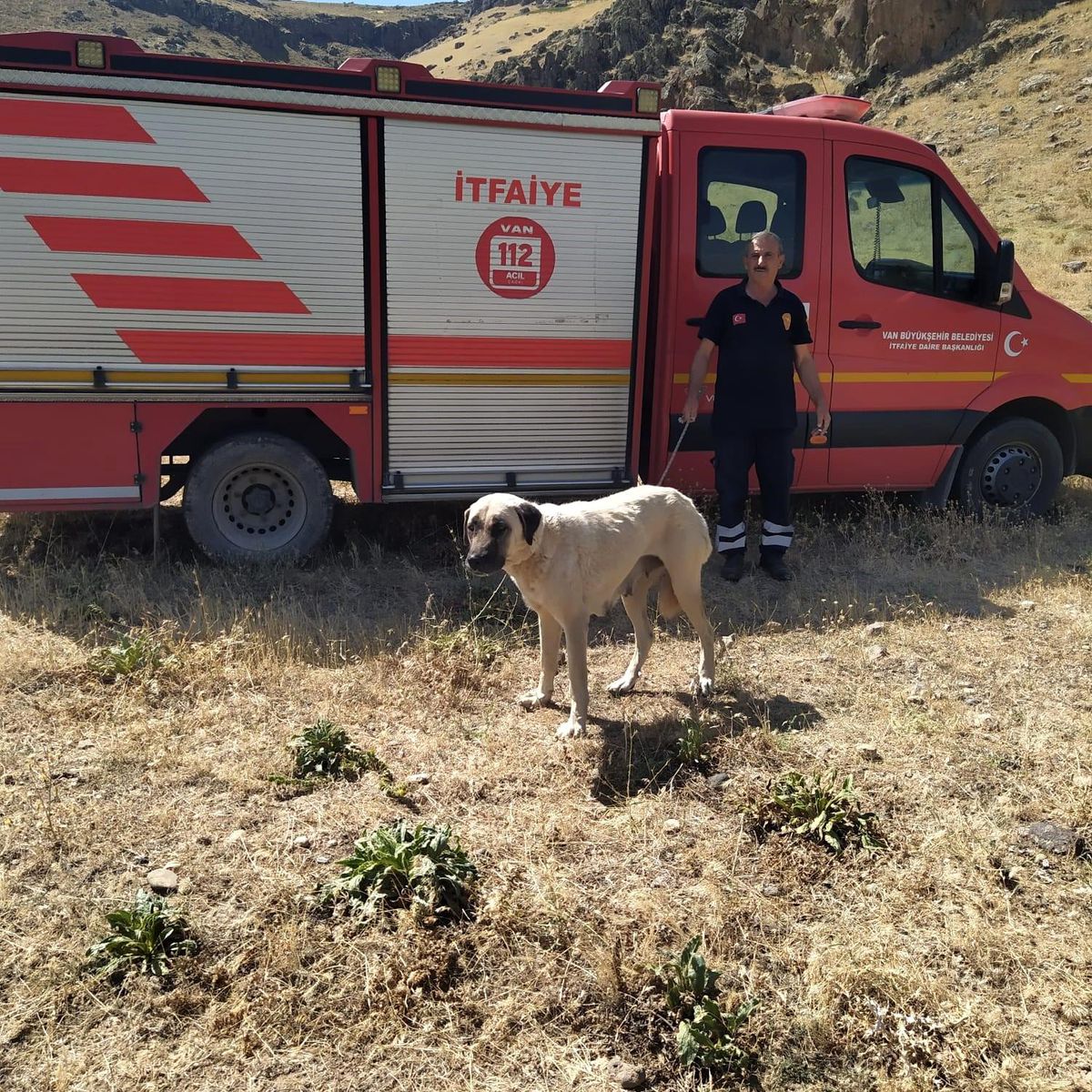 Van\'da Kayalıklarda Mahsur Kalan Köpek İtfaiye Tarafından Kurtarıldı